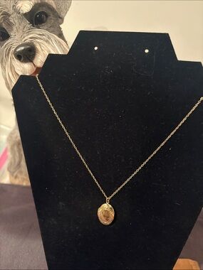 Plunder Gold tone Locket Necklace